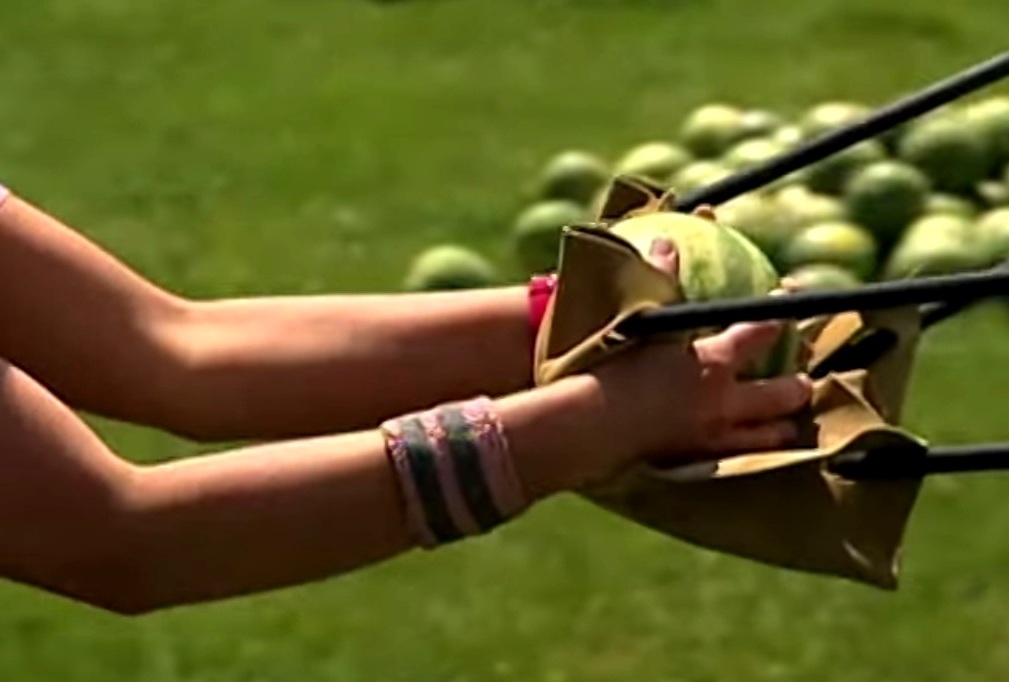 Queensnake brush. Queensnake brush. Queensnake brush. Find a snake. Queensnake brush.