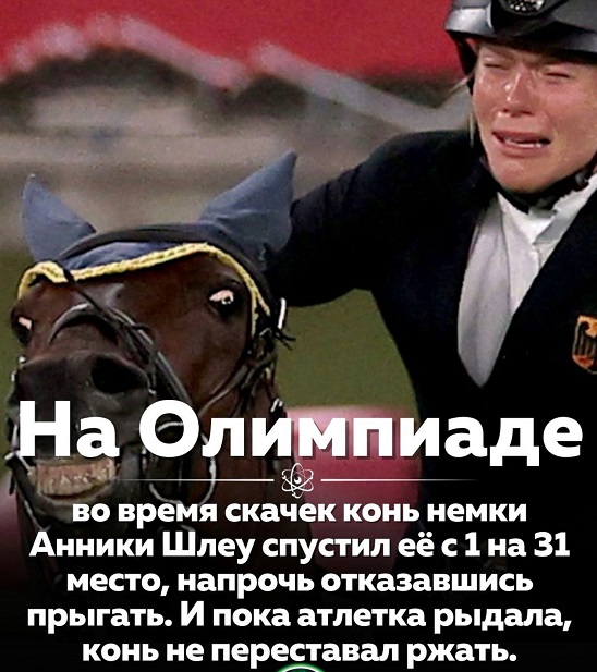 – Чем займемся в выходные? – Ударим алкогольной зависимостью по компьютерной! просто, больше, почему, только, хочешь, звонишь, можно, спрашивать , узнать, сказал, одного, будет, Мужчина, Немножечко, первое, собаку, чтото, поводок, Полицейский, дальше