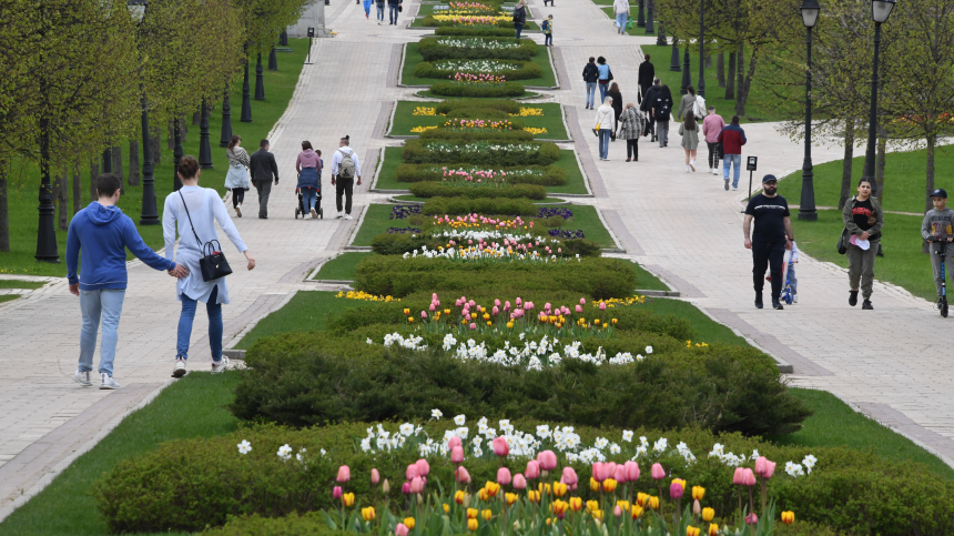 Собянин рассказал, как фестиваль «Лето в Москве. Сады и цветы» украсил город