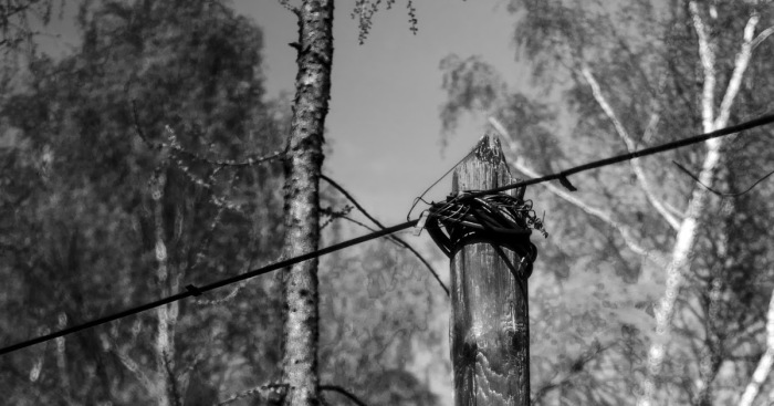 8 мистических мест Подмосковья, про которые рассказывают разные «страшилки» 8 мистических мест Подмосковья, про которые рассказывают разные «страшилки» доказательства