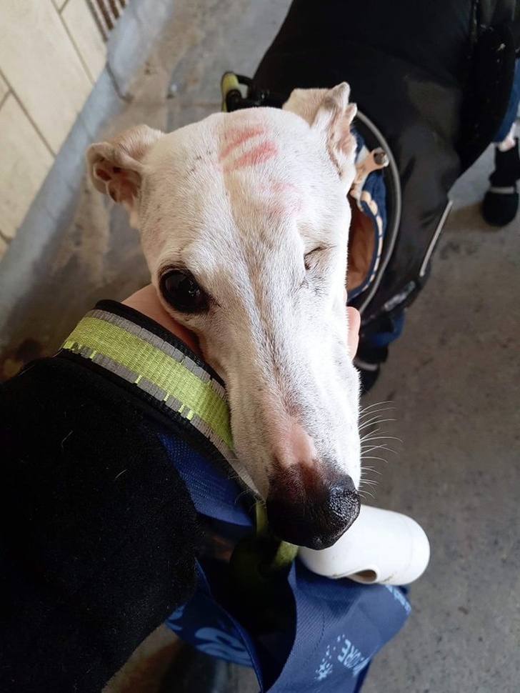 17 снимков, которые раскрасят даже самый хмурый день! 17 снимков, которые раскрасят даже самый хмурый день!