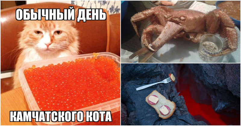 Красная икра картинки смешные, аяяй открытки