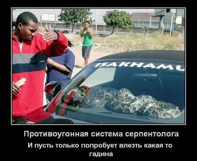 Новая порция хорошего настроения и юмора в прикольных демотиваторах на любой вкус! Новая порция хорошего настроения и юмора в прикольных демотиваторах на любой вкус!