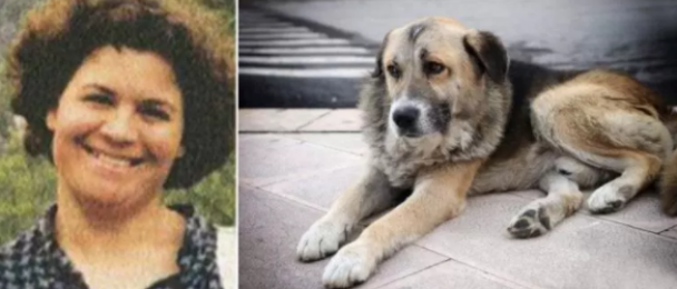 Причина по которой этот пёс часами грустит в храме ранит до слёз... Это пример настоящей верности и дружбы на всю жизнь