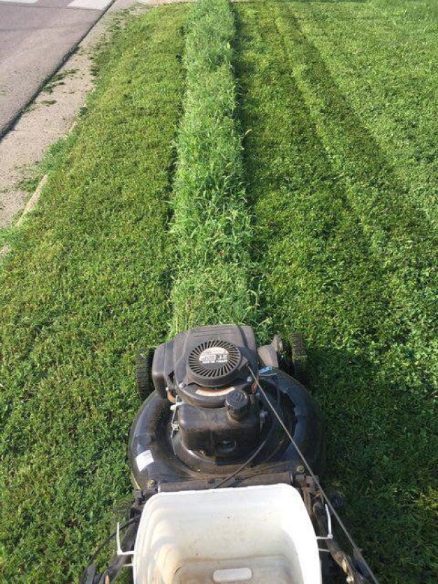 услада для глаз перфекциониста