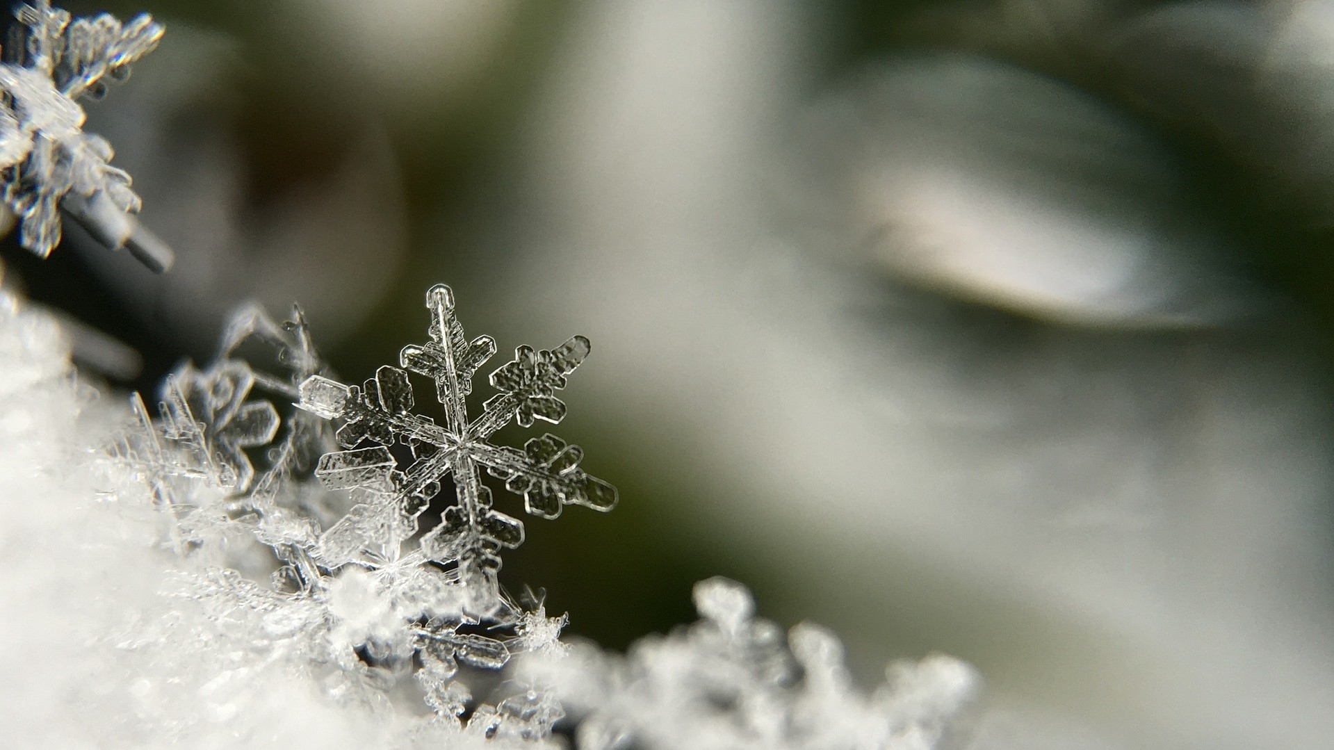Жители Нижегородской области встретили первый снег