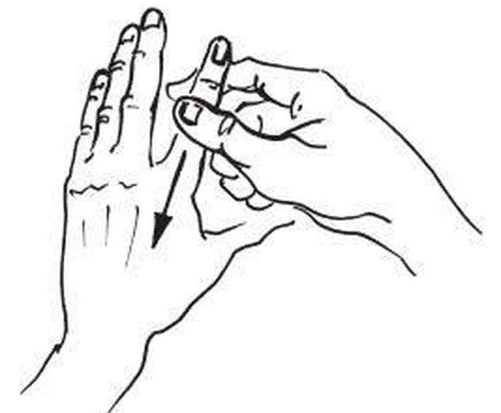 Гимнастика фараонов: упражнения, которые стоит делать сразу после пробуждения здоровье,упражнения