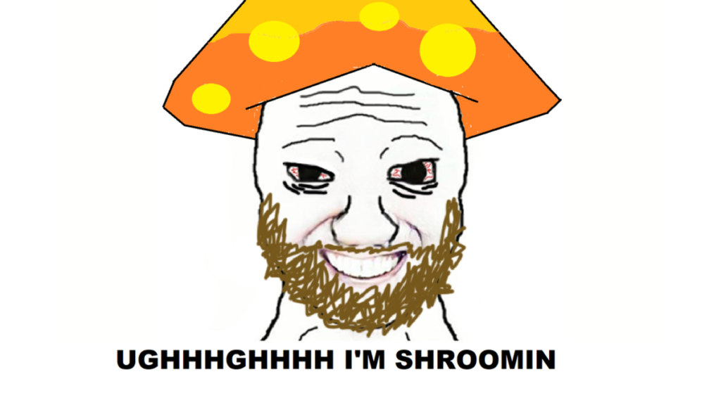 шрумер shroomer