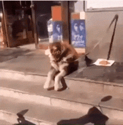 С этими хохотушками вы на 100% отдохнёте от всех забот! Смотрим! С этими хохотушками вы на 100% отдохнёте от всех забот! Смотрим! позитив