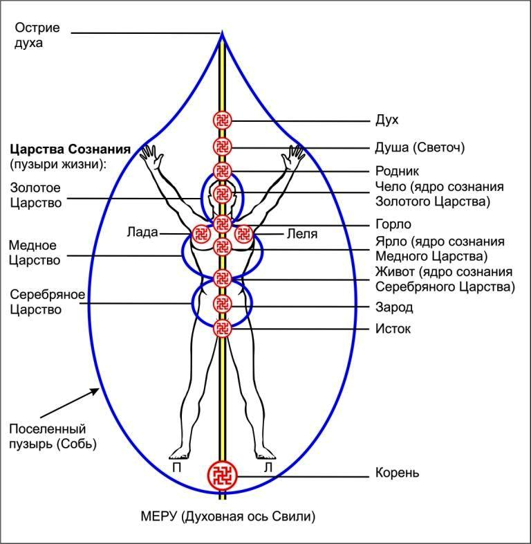 Язык яви. Чакральная система славян. Славянские энергетические центры чакры. Чакровая система древних славян. Энергетическая система человека и чакры.