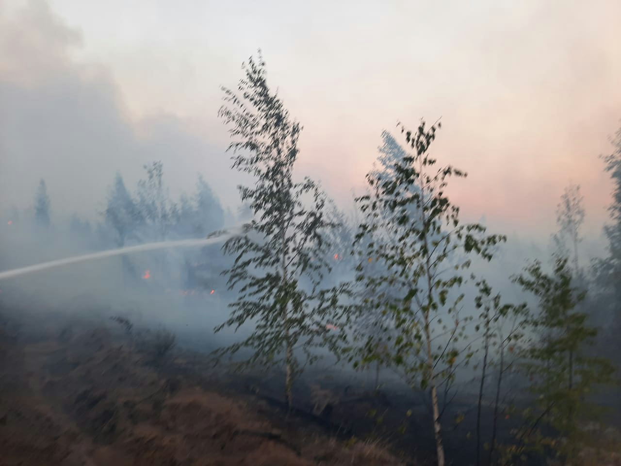 В 26 районах Нижегородской области введён запрет на посещение лесов