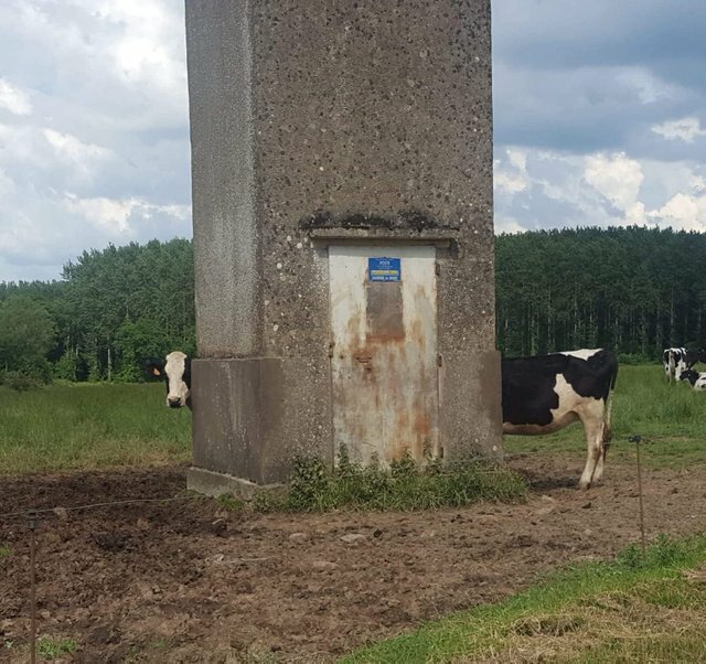 Показалось: 27 новых чудных фотографий, которые развеселят вас 