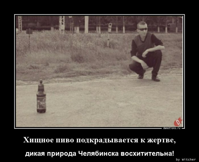 Демотиваторы прикольные: «Расставляй по фэншую…» 