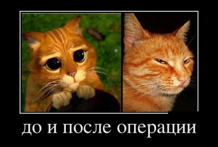 Картинки перед операцией поддержать, днем лесника