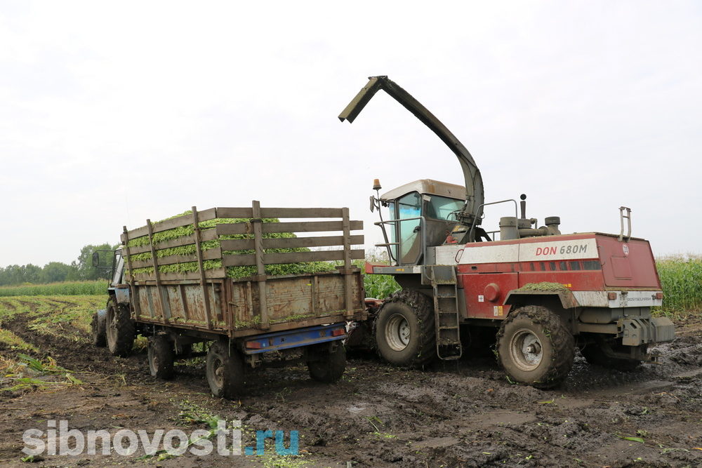 Сельское хозяйство новосибирска