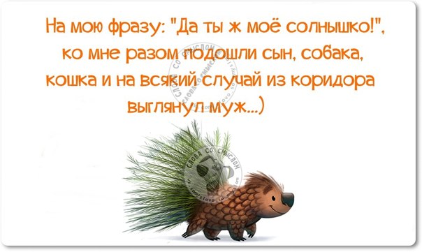 Прикольные фразочки в картинках :) Прикольные фразочки в картинках :)