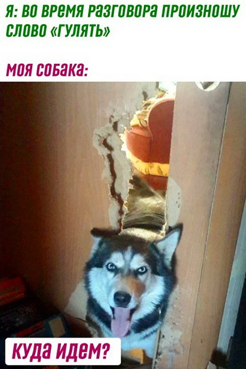 Немного позитива вам в ленту