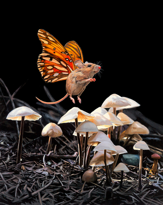 Волшебные грибы. Автор: Lisa Ericson.