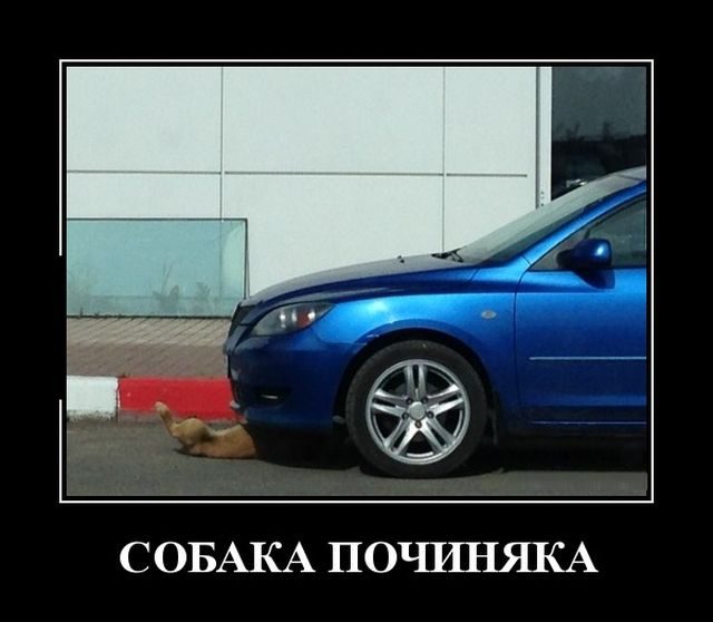 Демотиваторы - приколы!