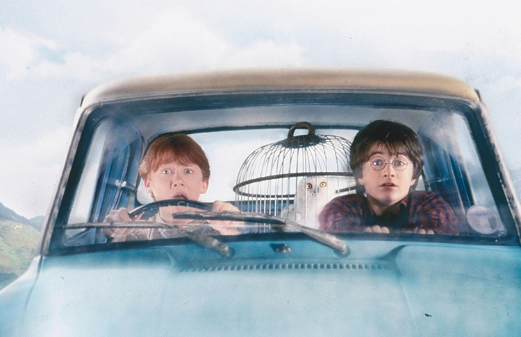 Лиам Пейн построил в своем саду копию хижины Хагрида из "Гарри Поттера": фото Звезды,Новости о звездах