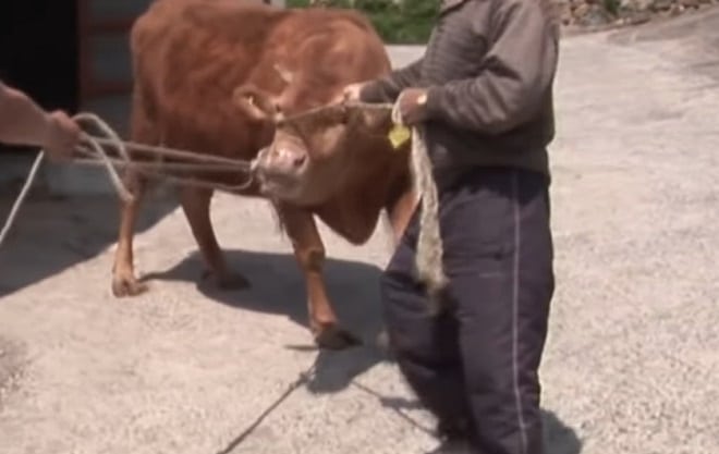 Разлука с подругой Разлука с подругой истории из жизни