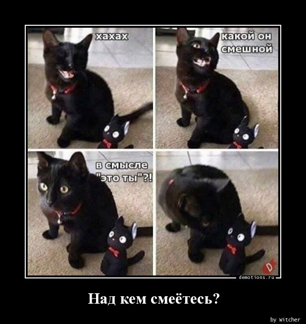 Демотиваторы прикольные: «Расставляй по фэншую…» 