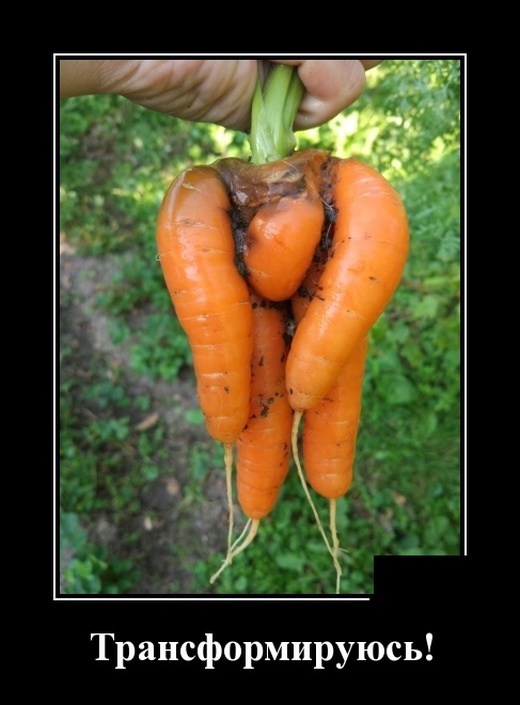 Самые новые демотиваторы (30 фото) демотиваторы