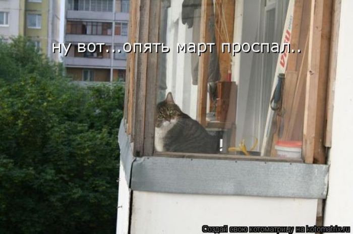 Мысли вслух :)