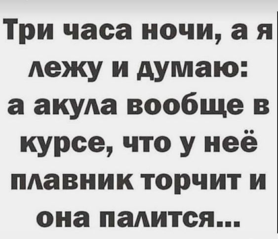 Мудрость — это умение превращать бикфордов шнур злости в бенгальские огни добродушия 