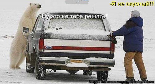 Ночная котоматрица (12 шт)