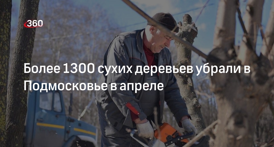Более 1300 сухих деревьев убрали в Подмосковье в апреле