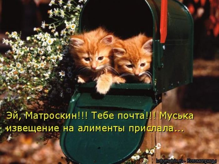 Мысли вслух :)