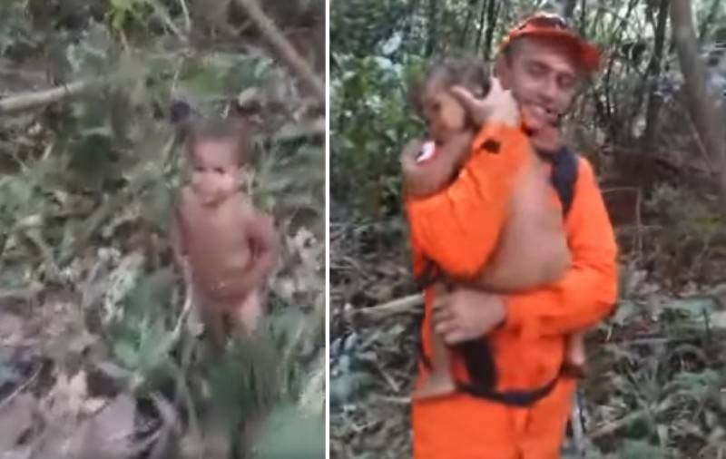 В Бразилии собака-спасатель нашла в джунглях потерявшегося мальчика