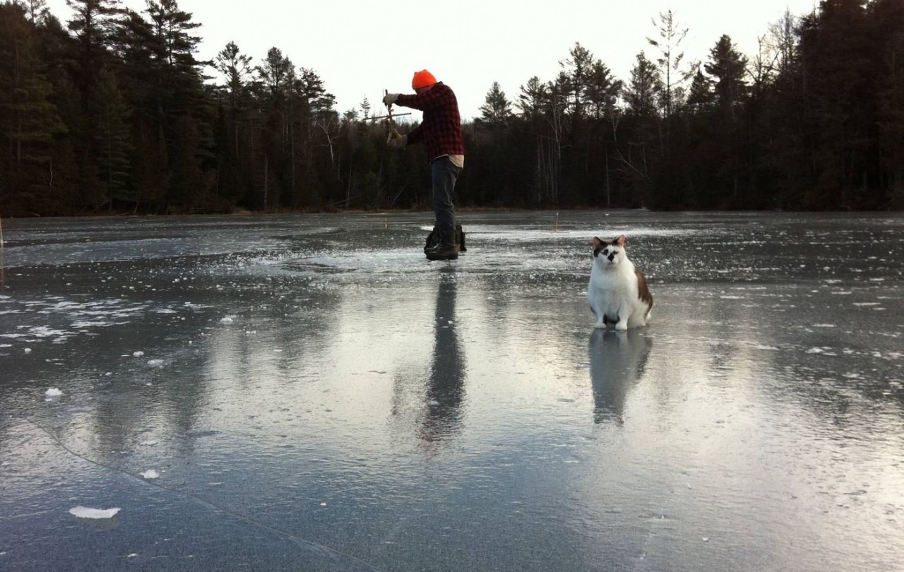 Зимняя рыбалка это всегда приключения Зимняя рыбалка это всегда приключения истории из жизни