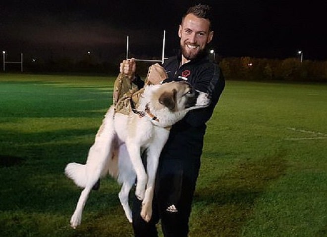 Британский солдат, спасший щенка из-под рухнувшего здания, встретился с ним только через семь месяцев Британский солдат, спасший щенка из-под рухнувшего здания, встретился с ним только через семь месяцев