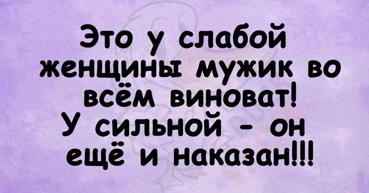 Смешные надписи и короткие шутки Смешные надписи и короткие шутки