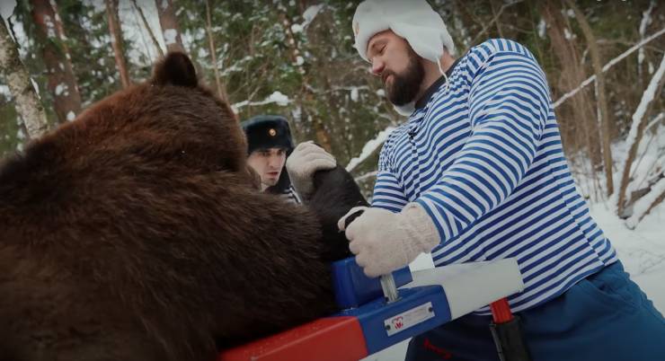 Подборка прикольных картинок Подборка прикольных картинок приколы,смешные картинки,юмор