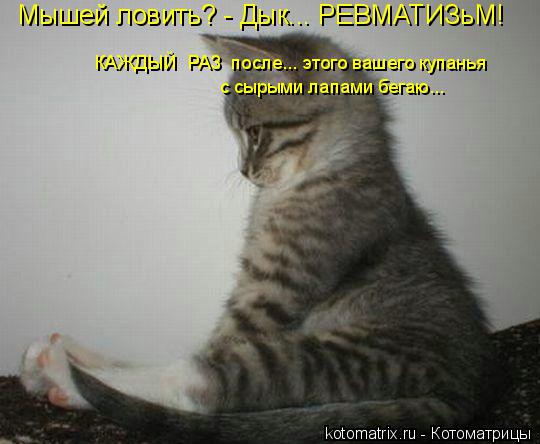 Котоматрица: Мышей ловить? - Дык... РЕВМАТИЗьМ! КАЖДЫЙ РАЗ после... этого вашего купанья с сырыми лапами бегаю...