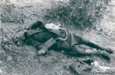 Меня нашли в воронке Меня нашли в воронке война и мир