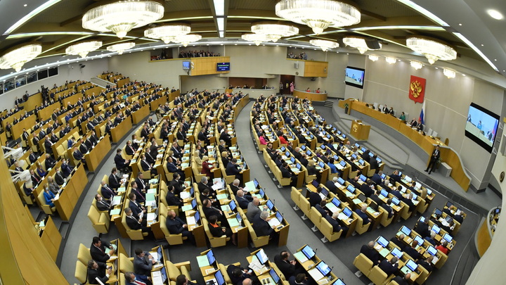 Госдума приняла закон о пожизненном сроке для педофилов