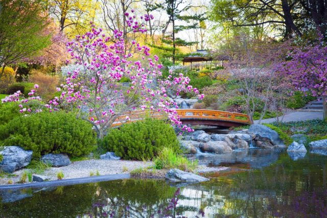 Из чего состоит японский сад и как воссоздать на своем участке — уроки ландшафтного дизайна камней, можно, всего, может, Японии, японские, японского, камни, символизирует, только, камня, японский, японских, камень, которой, садах, место, цубонива, искусство, часто