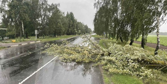 В МЧС рассказали о последствиях непогоды в Могилевской области.