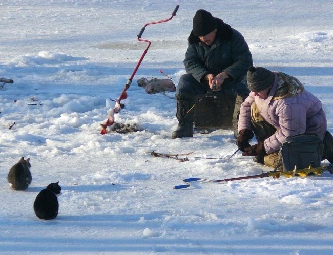 Зимняя рыбалка это всегда приключения Зимняя рыбалка это всегда приключения истории из жизни