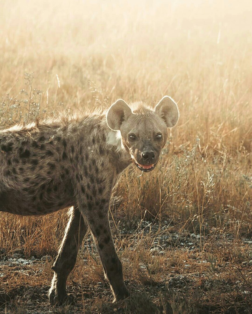 Выбираете на свой вкус любое количество Выбираете на свой вкус любое количество заграница,путешествие,страны,туризм