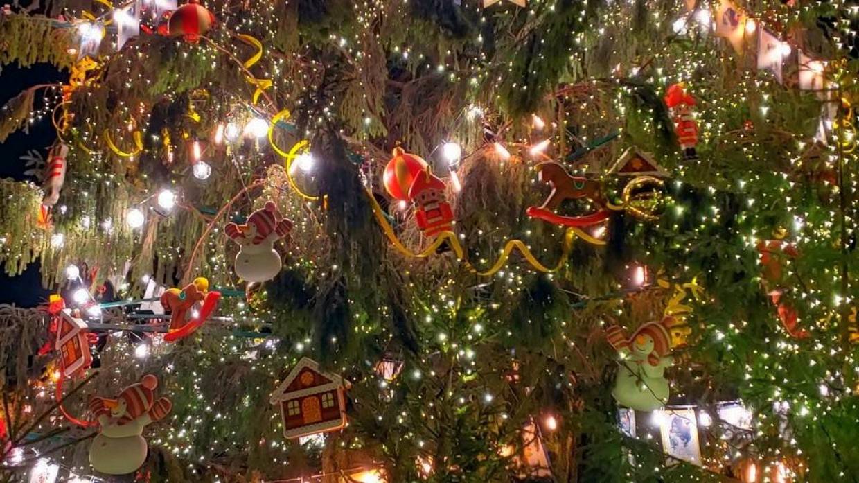 Блогер Колясников прокомментировал победу в конкурсе школьника в костюме Красной Шапочки