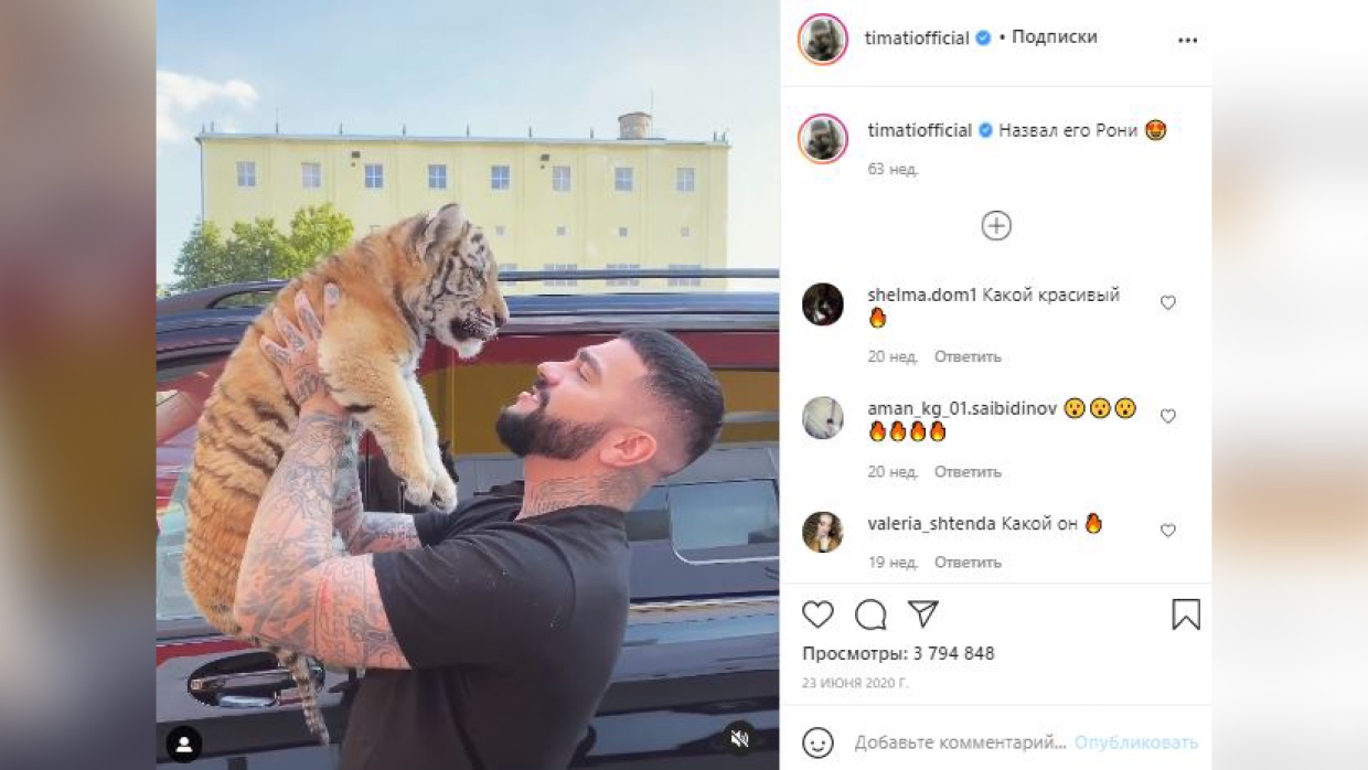 Тигр в доме: Эдгард Запашный разбирает кейс Джигана и Тимати, обнимавшихся с хищниками