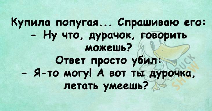 Смешные надписи и короткие шутки Смешные надписи и короткие шутки