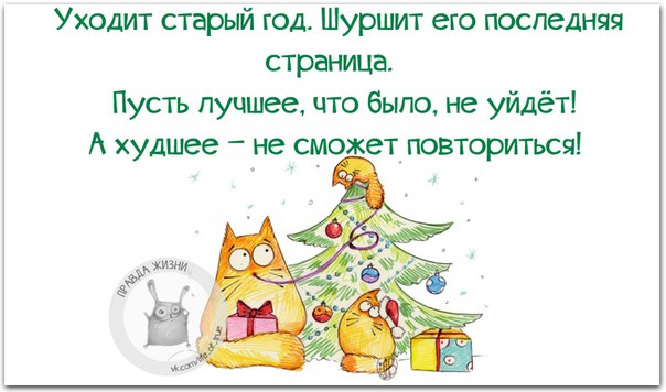 Прикольные фразочки в картинках :) Прикольные фразочки в картинках :)