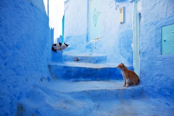 Шефшауен - голубой город в Марокко марокко, шефшауен