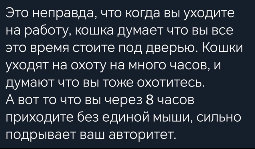 Мудрость — это умение превращать бикфордов шнур злости в бенгальские огни добродушия 